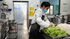 <b>食堂工做人员加工食材操做规</b>