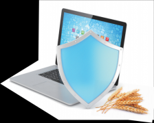 <b>支持信用经济成长</b>